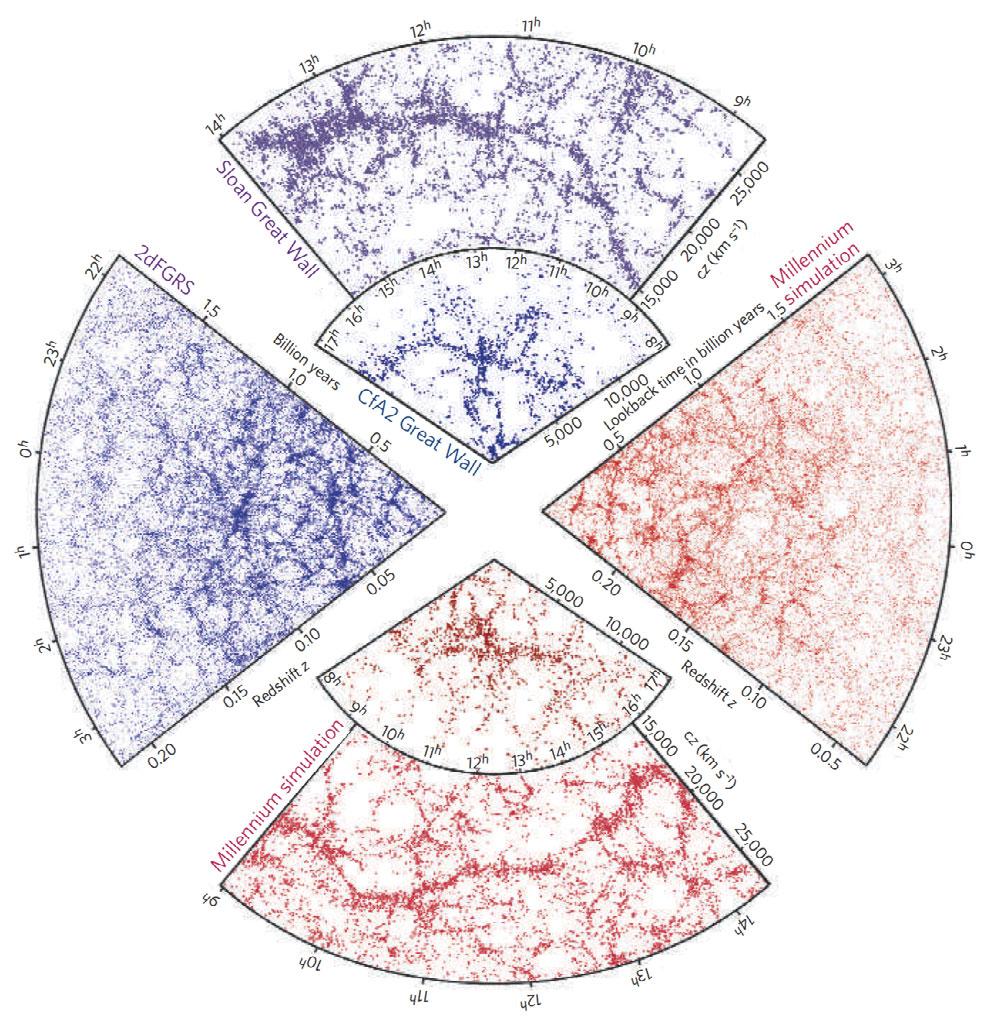 Estruturas simuladas e observadas A distribuição de matéria no