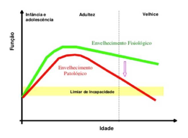 Fisiologia do Envelhecimento Envelhecer é definido como um processo dinâmico e progressivo, no qual há modificações morfológicas, funcionais, bioquímicas e psicológicas, que determinam perda da