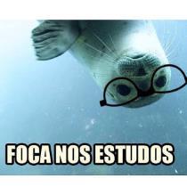 Aplicando as regras de sinais estudadas em aula, determine o valor de cada expressão. a) ( -5 ) = b) ( -3 ) = c) ( +9 ) = d) ( +4 ) = e) [ - ( -15 ) ] = f) [+ ( -8 ) ] = 05.