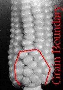 Defeitos Contorno de grão Quando o desalinhamento entre os grãos vizinhos é grande (maior que ~15 o ), o contorno formado é chamado contorno de grão de alto ângulo.