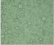 3 Formação das microcápsulas com o óleo de pequi Para cada tratamento, goma de cajueiro/quitosana e goma arábica/quitosana, foi realizado o microencapsulamento nas concentrações do óleo de 0,5g,