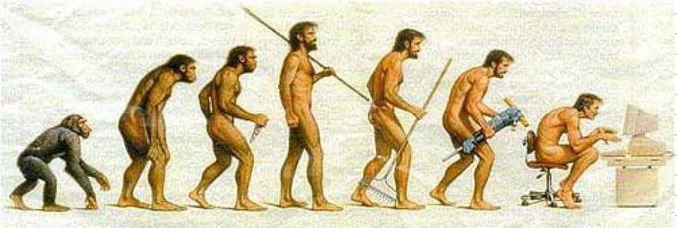 Evolução: