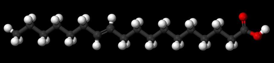 Trans-Vaccenic Acid O ácido trans-vaccenic está