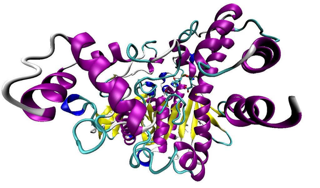 Acetilcolinaesterase A presença de ACh na fenda sináptica, deixaria os receptores de ACh abertos por um tempo maior que o necessário após a repolarização da célula pré-sináptica.