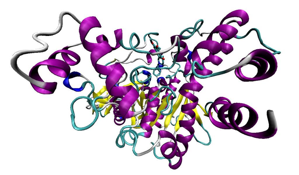 Acetilcolinaesterase A estrutura abaixo mostra o complexo da aceticolinaesterase com a droga aricept, resolvido a partir da técnica de cristalografia por difração de raios X.