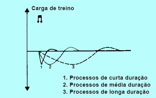 Adaptação Rápida reacção a um exercício de intensidade máxima Activação sistemas funcionais ( > FC, > consumo O2, > lactato) Diminuição progressiva entre as necessidades do organismo e a sua