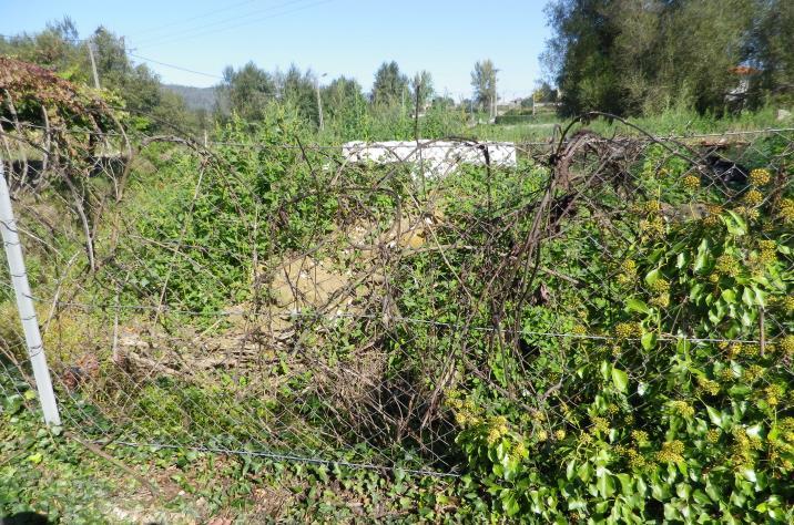 Fotografias 1 e 2 Amontoado de entulhos de demolição na margem esquerda da ribeira, em terreno imediatamente a norte do muro da Quinta.