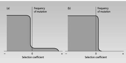 Questão 7: A figura abaixo representa distribuições de freqüências diferentes (a e b) para as taxas de mutação com vários coeficientes de seleção.