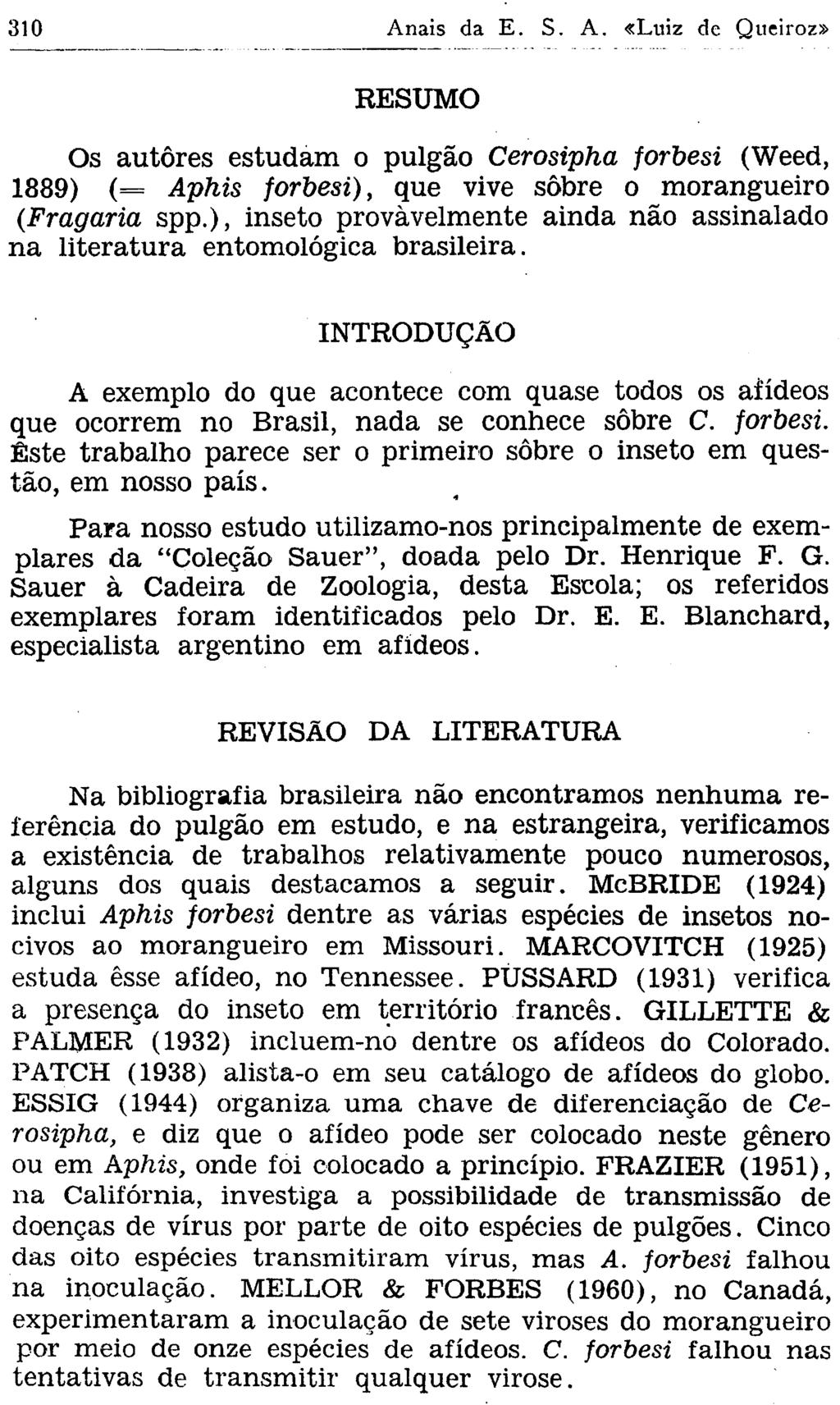 RESUMO Os autôres estudam o pulgão Cerosipha forbesi (Weed, 1889) (= Aphis forbesi), que vive sobre o morangueiro (Fragaria spp.