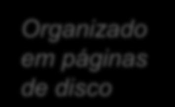 espaciais 2) Extração BANCO DE DADOS Extração