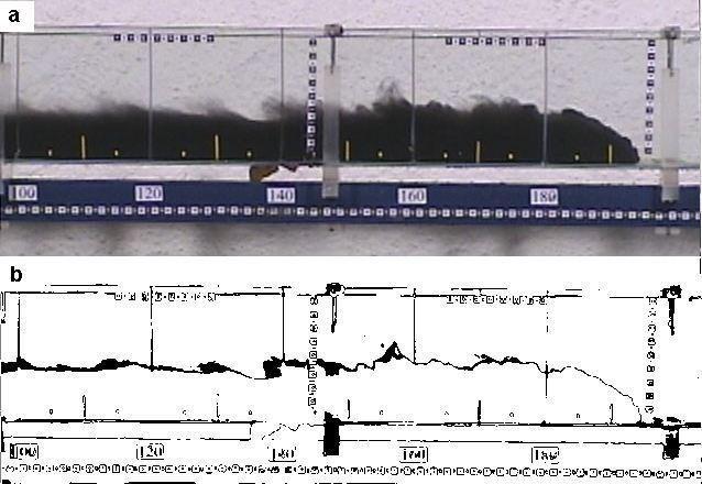 A6 Figura A.4 Imagem do fluxo composto por 75% de sedimento (a). Imagem resultante do processamento utilizado para determinação da interface fluido-ambiente (b).