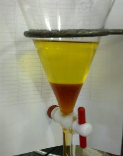 (inferior) conforme a Figura 13e deixada em repouso por 24 h. Figura13. Separação das fases: biodiesel e glicerol.
