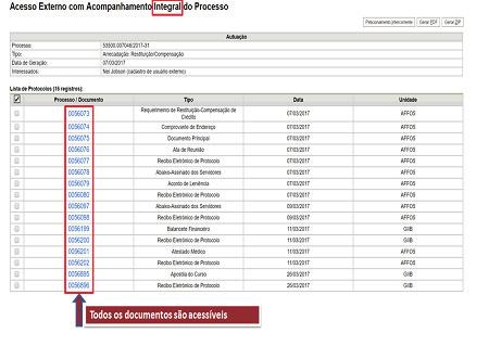 D. Acesso Externo aos Processos Os Acessos Externos aos processos são concedidos em