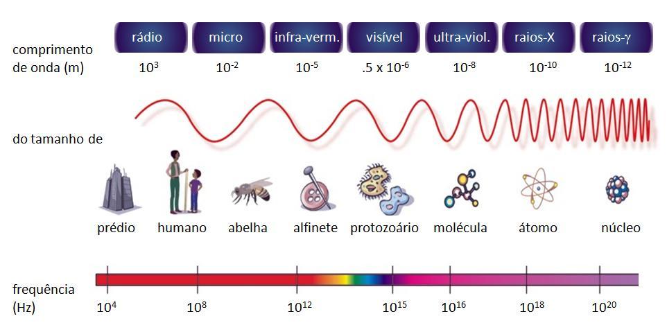 O espectro eletromagnético Adaptado de http://blogs.edf.