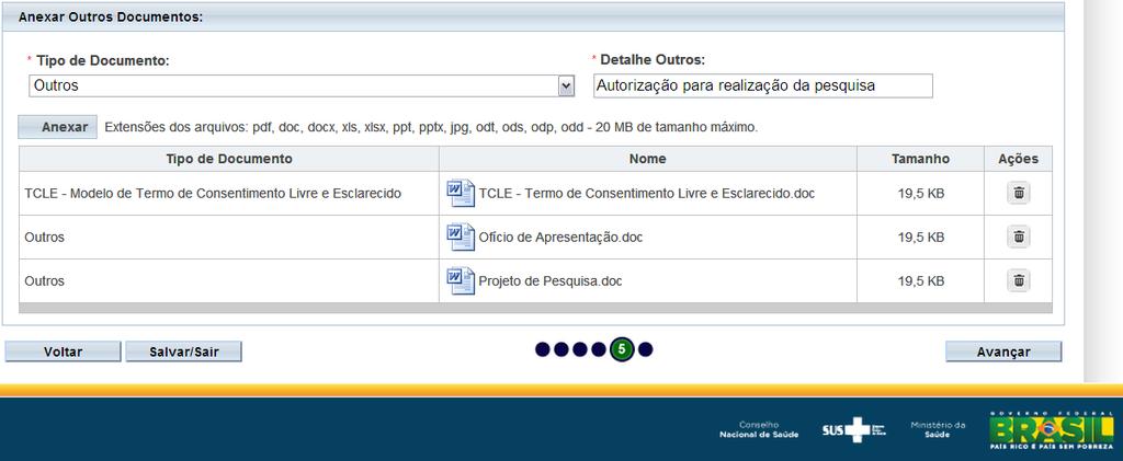 denominada Outros que conseqüentemente abrirá o campo *Detalhe Outros, onde deverá ser digitado o nome do documento a ser anexado, neste caso, a Autorização da Instituição