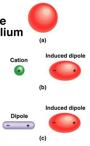 Forças Intermoleculares Forças de dispersão forças atractivas que surgem como resultado de dipolos temporários induzidos nos