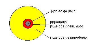 Figura 6.31 Esquema (fora de escala) da estrutura interna de uma estrela da Seqüência Principal, convertendo hidrogênio em hélio.