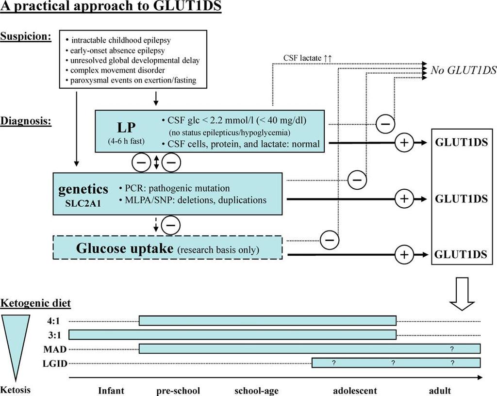 GLUT1 deficiency syndrome in clinical practice