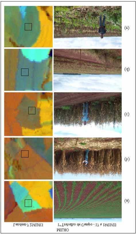 92 Sanches; Epiphanio; Formaggio Figura 6 - Recortes de Imagem Landsat na Composição