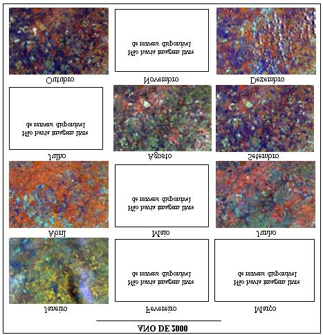 Culturas Agrícolas em Imagens Multitemporais do Satélite Landsat 87 Figura 1 - Calendário de Recortes de