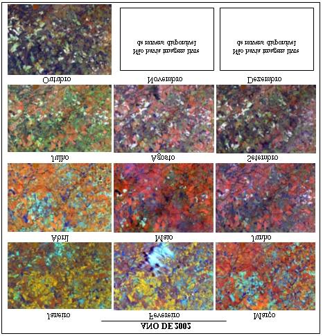 Culturas Agrícolas em Imagens Multitemporais do Satélite Landsat 89 Figura 3 - Calendário de Recortes de