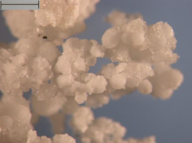 Síntese de Copolímeros de Propeno/Dieno em Massa em Escala de Bancada 1000µm 1000µm (A) (B) Figura 4.