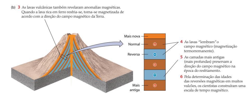 Velocidade