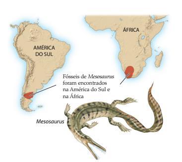 Deriva Continental Evidências: Por exemplo, fósseis do réptil Mesosaurus, com idade de 300 milhões de anos, foram encontrados na