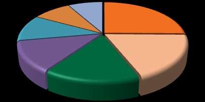 Perspectivas da Economia Brasileira Taxa Básica de Juros SELIC e Índice de Inflação IPCA Índice de Inflação IPCA 25% 9% 8% 25% 20% 11% 15% 12% 19% 10% Taxa Selic IPCA 16% 5% 0% jan-03 jan-04