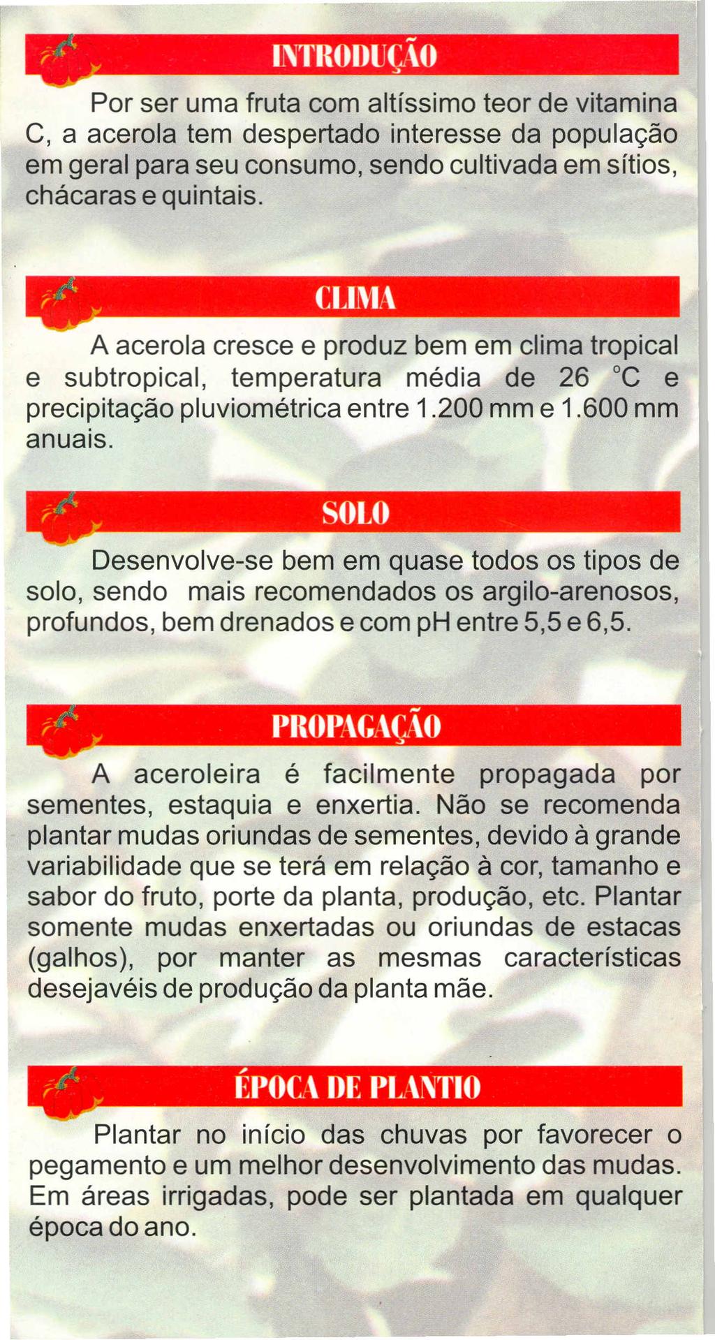 r.' y INTROUU~O ~ Por ser uma fruta com altlssimo teor de vitamina C, a acerola tem despertado interesse da populagao em geral para seu consumo, sendo cultivada em sftios, chckaras e quintais.