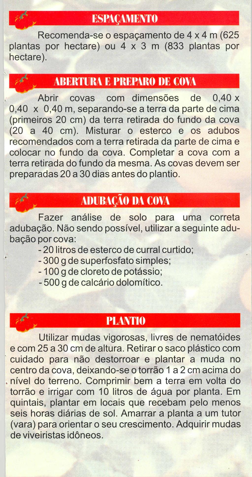 Recomenda-se 0 espac;amento de 4 x 4 m (625 plantas por hectare) ou 4 x 3 m (833 plantas per hectare).