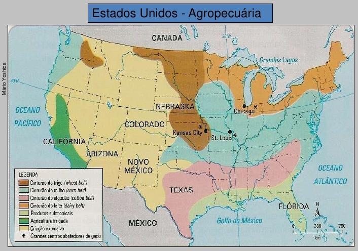 O Oeste Pecuária bovina de corte, fruticultura irrigada, hortaliças e