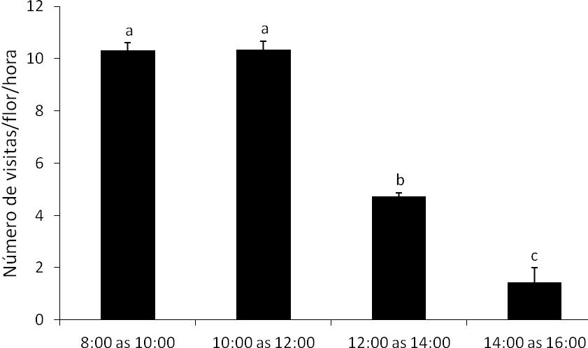 As maiores taxas de visitação foram observados nos primeiros intervalos do dia (8:00 as 10:00 e 10:00 as 12:00 h), sendo que não houve diferença significativa entre esses dois intervalos (p=0,99)