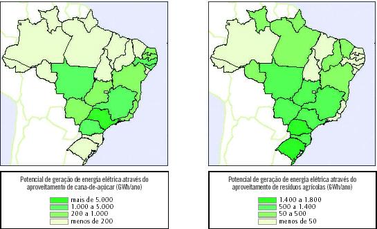 Bagaço de Cana e