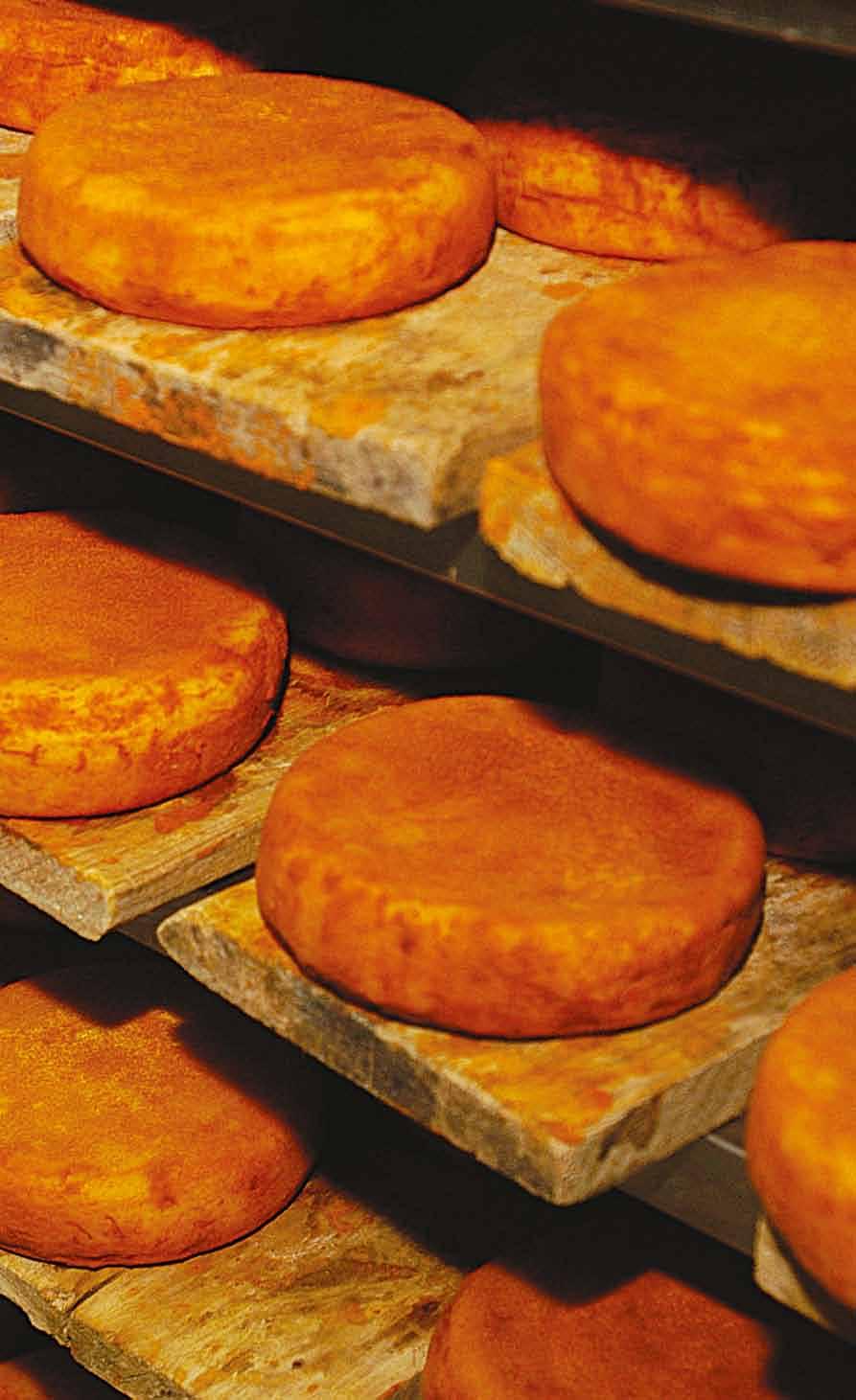 Queijos com tradição - Selecção de Portugal Desde o início, o Clube de Produtores procura dinamizar, divulgar e apoiar a produção nacional dos queijos