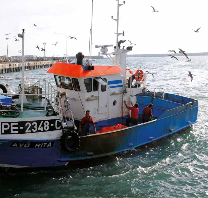 UM PRODUTOR EM DESTAQUE POLÍTICA DE SUSTENTABILIDADE O que significa uma pesca sustentável?