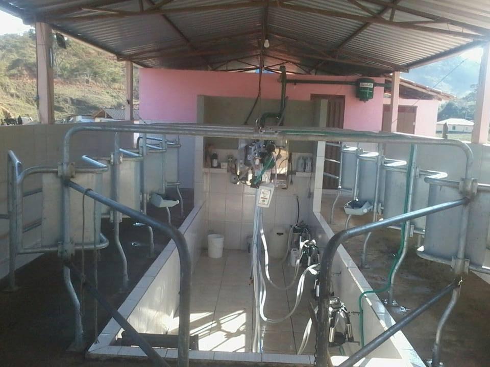 Sérgio toma conta da parte da recria e vacas secas e José Luís é responsável pela parte das vacas em lactação, o que resultou em maior controle de cada etapa da produção leiteira da propriedade, que