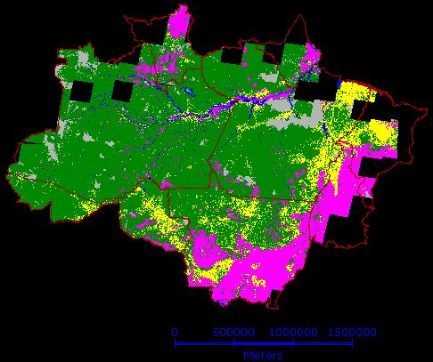 Floresta Nao-floresta