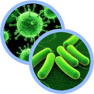 O que é Microbiologia?