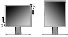 Modos horizontal/vertical O LCD display pode operar tanto em modo Horizontal como em modo Vertical. Siga as instruções que acompanham o software Perfect Suite TM.