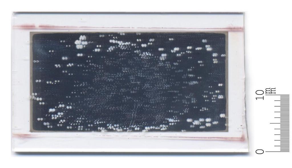 95 Na Figura 44 é mostrada a superfície do catodo no vidro boro-silicato, após o tratamento eletro-térmicos representado na Figura 39.