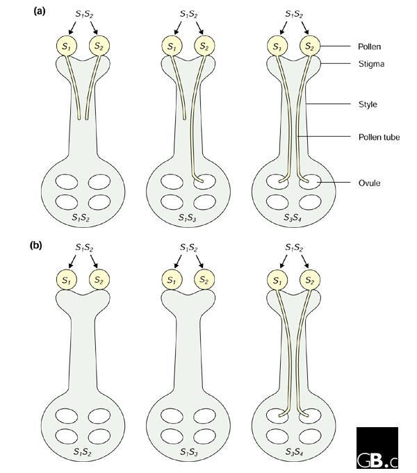 genomebiology.