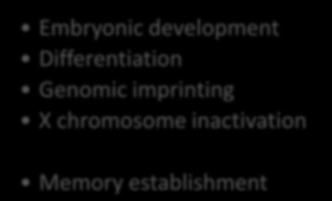 Differentiation Genomic imprinting X