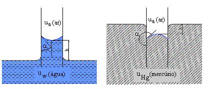 11 Figura 2.6 Capilares Imersos em Água e Mercúrio (Reichardt, 1985) 2.1.2.3.