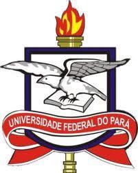 11 Anexo IV: Modelo para Projeto de Pesquisa O projeto de pesquisa deverá ter até 30 (trinta) páginas impressas, espaço 1,5,