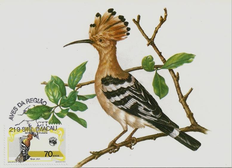 ARTIGO A POUPA VISTA ATRAVÉS DA MAXIMAFILIA Américo Rebelo (Portugal) Poupa (Upupa epops) Postal Máximo Triplo Emissão: 1984 Aves Regionais de Macau Obliteração: Carimbo Comemorativo da Emissão Aves