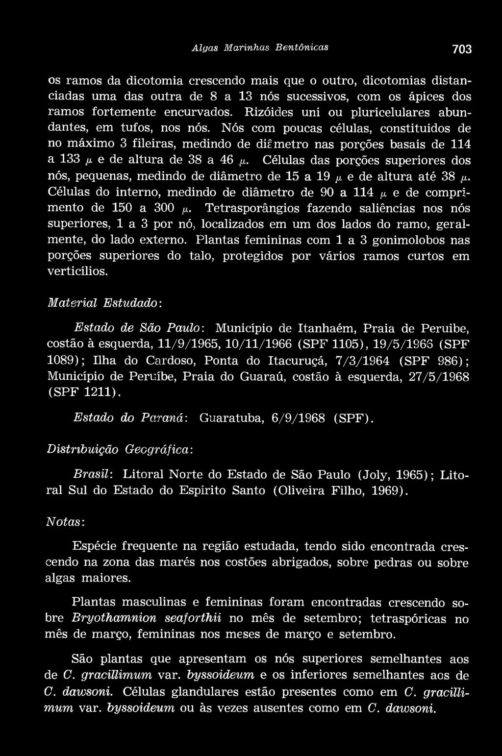 Nós com poucas células, constituídos de no máximo 3 fileiras, medindo de dif metro nas porções basais de 114 a 133,/x e de altura de 38 a 46. x.