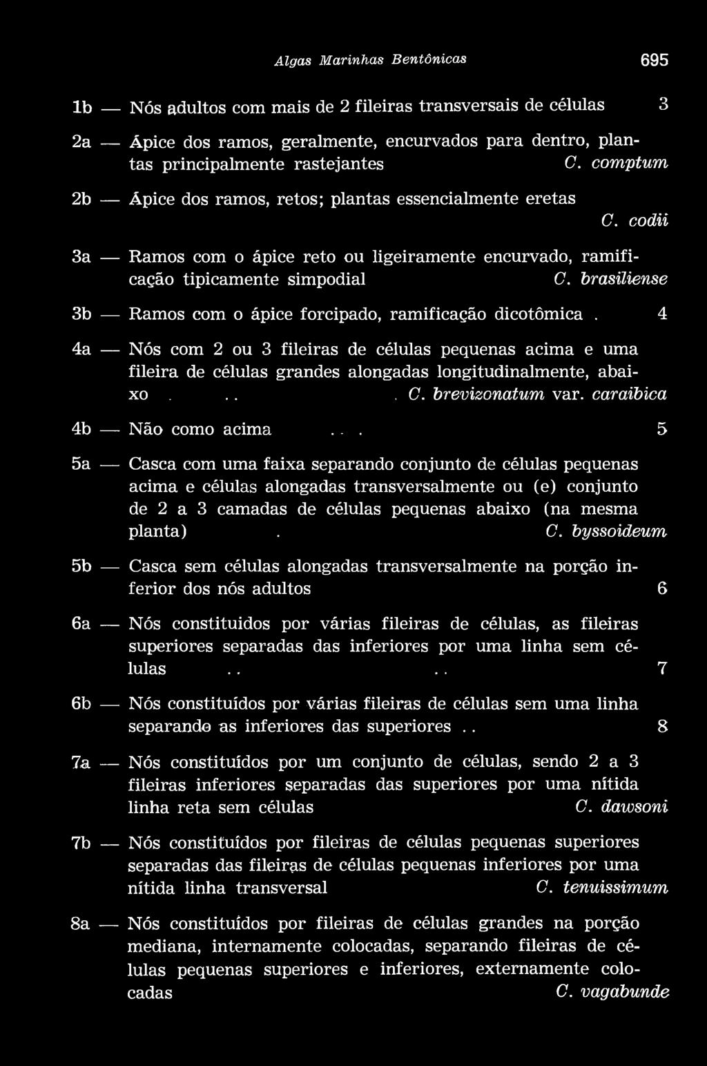 brasiliense 3b Ramos com o ápice forcipado, ramificação dicotômica. 4 4a Nós com 2 ou 3 fileiras de células pequenas acima e uma fileira de células grandes alongadas longitudinalmente, abaixo...,c.