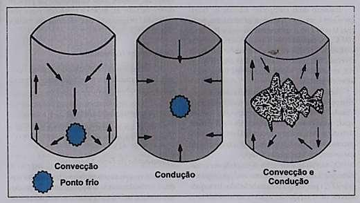 11 Figura 3. Penetração de calor em latas por convecção e condução (ponto frio). Fonte: Baruffaldi e Oliveira (1998).