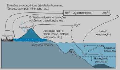 25 Figura 5. O ciclo global do mercúrio (DE SOUZA e BARBOSA, 2000). A presença de metilmercúrio também foi detectada em humanos e peixes (tucunaré e piranha) no reservatório de Balbina.